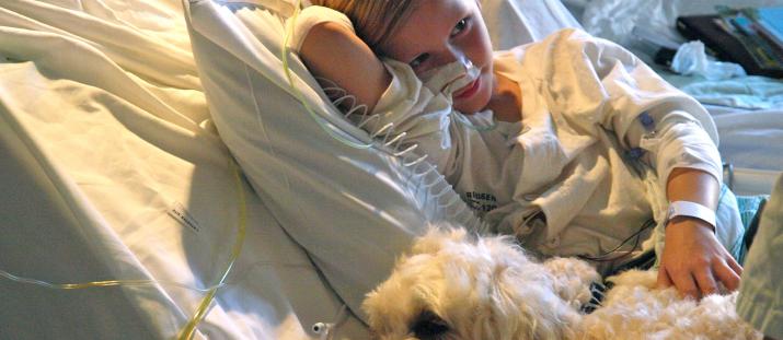 Hunden Livia läker svårt sjuka barn