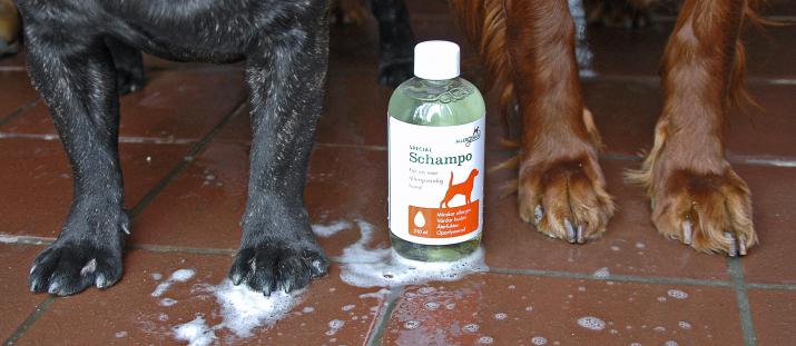 Allergenminskande schampo – Hundsport testar